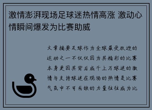 激情澎湃现场足球迷热情高涨 激动心情瞬间爆发为比赛助威