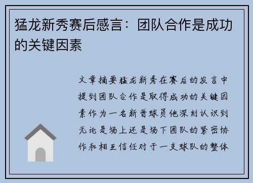 猛龙新秀赛后感言：团队合作是成功的关键因素